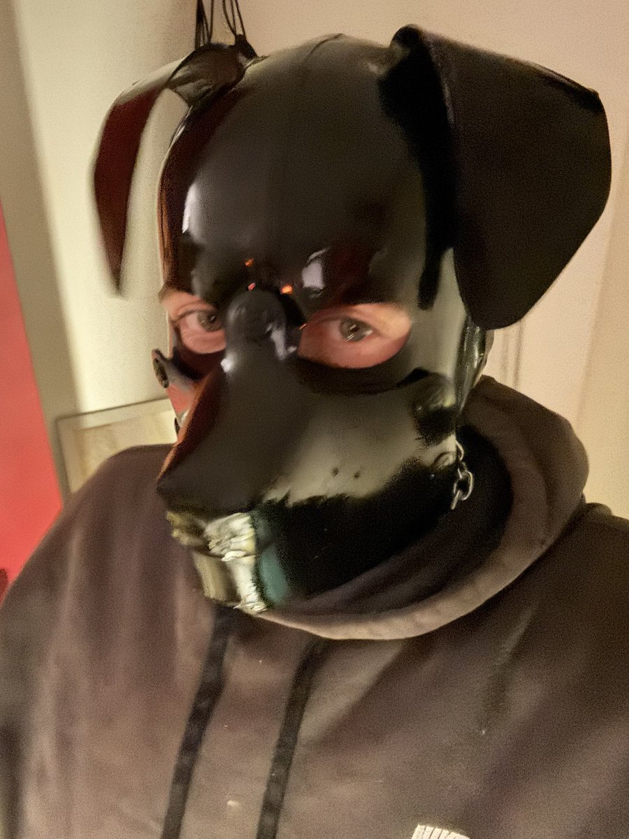 WRUFF tweet media
