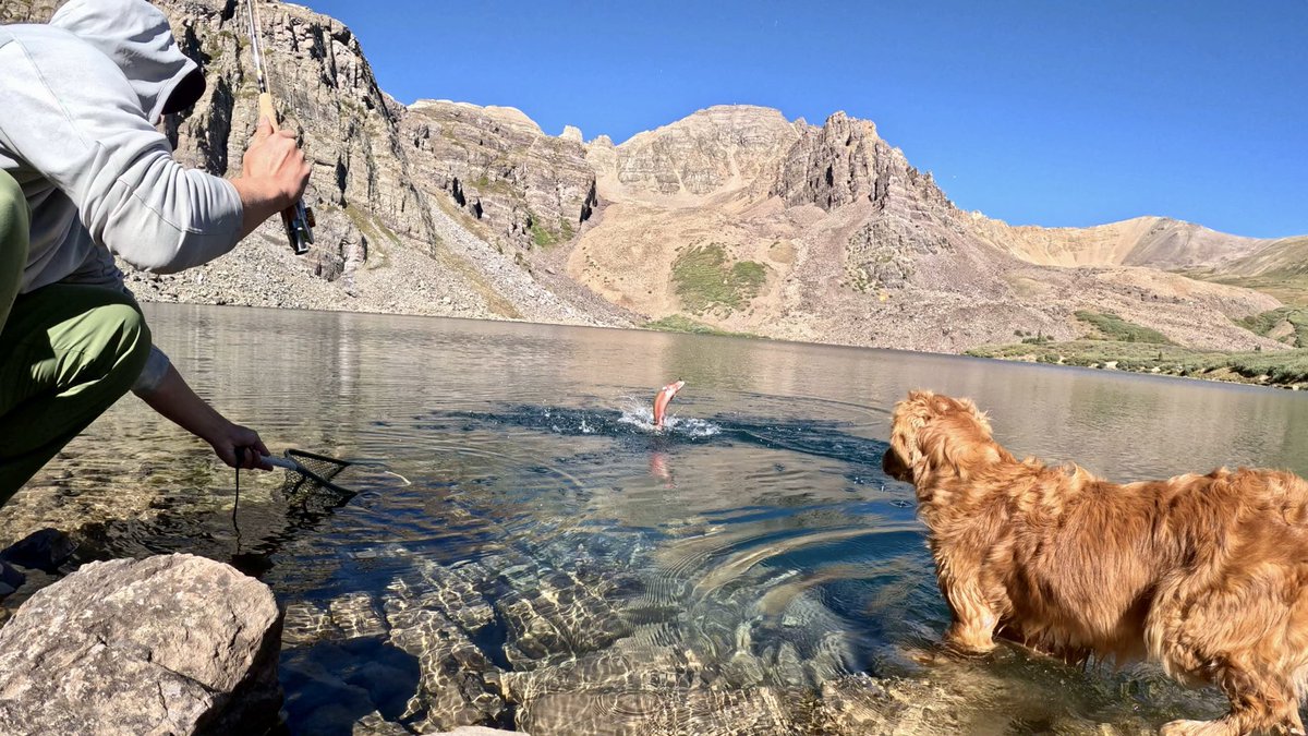 mountain mAndrew tweet media