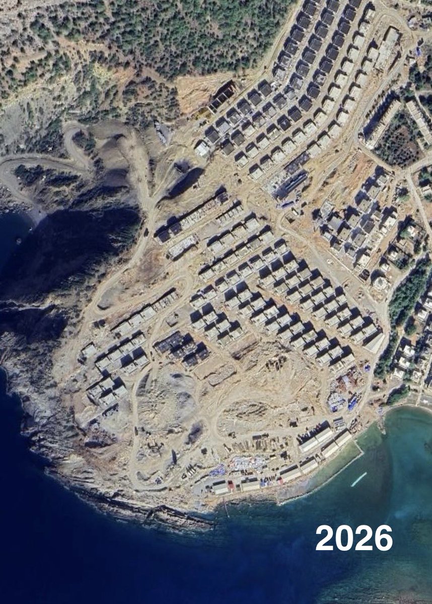 Profesör Facia tweet media