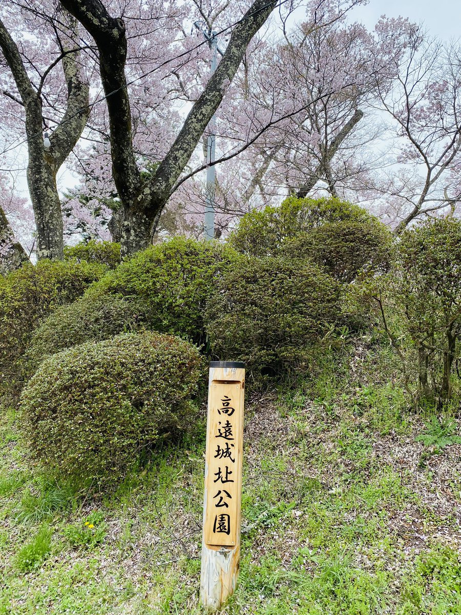 ダー様 tweet media