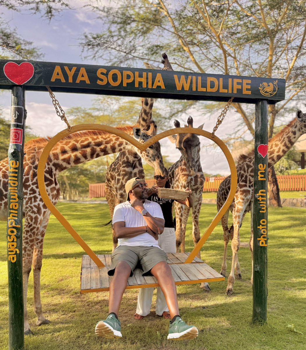 jkaruga's tweet photo. Giraffe mode https://t.co/UMAAIQeRfl