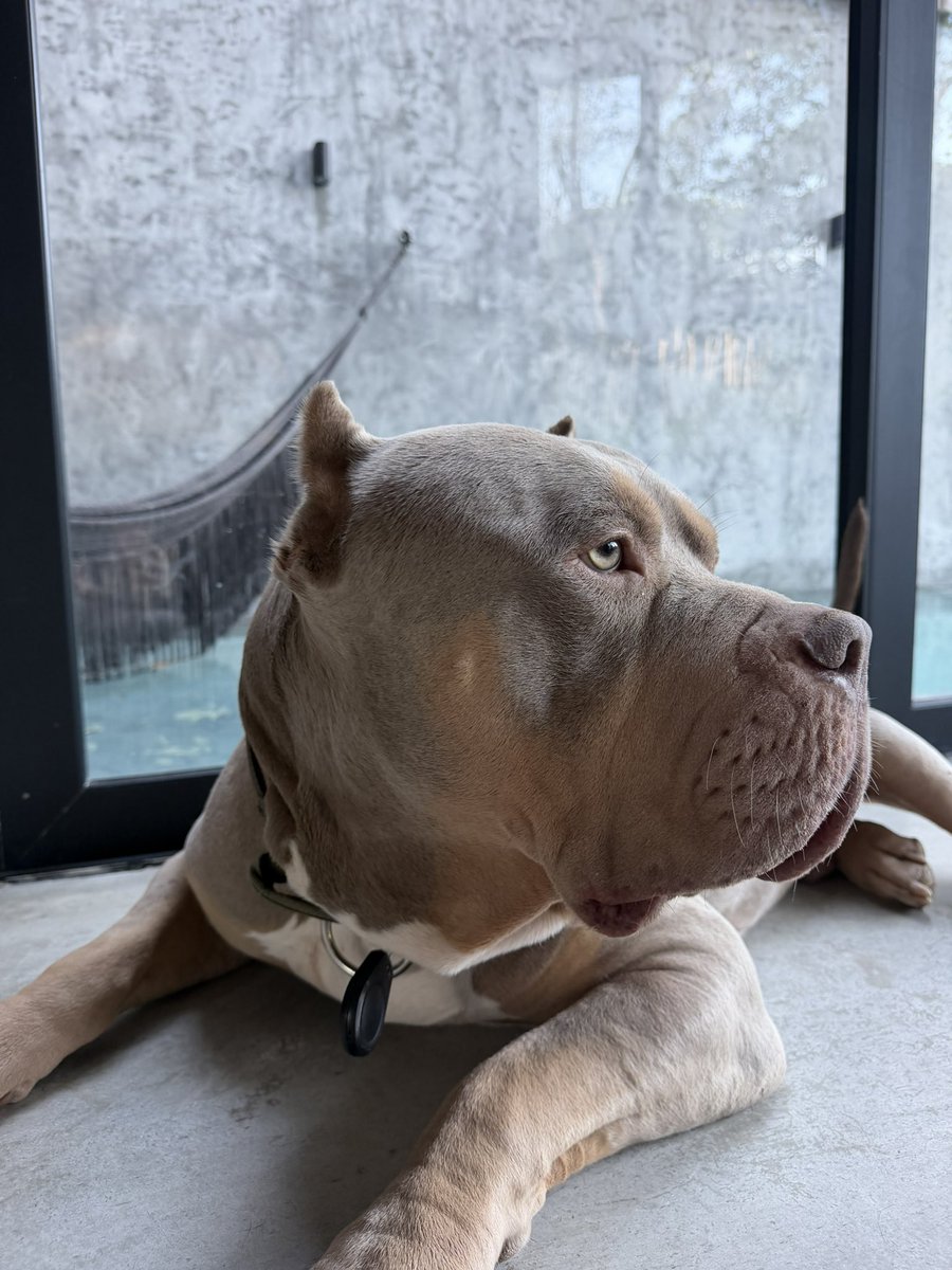 kt magee 🇬🇧 tweet media