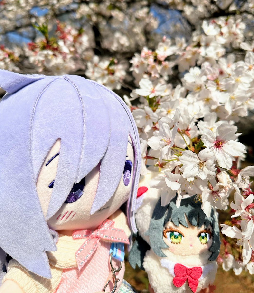 ひづき夜宵🎀🐭 tweet media