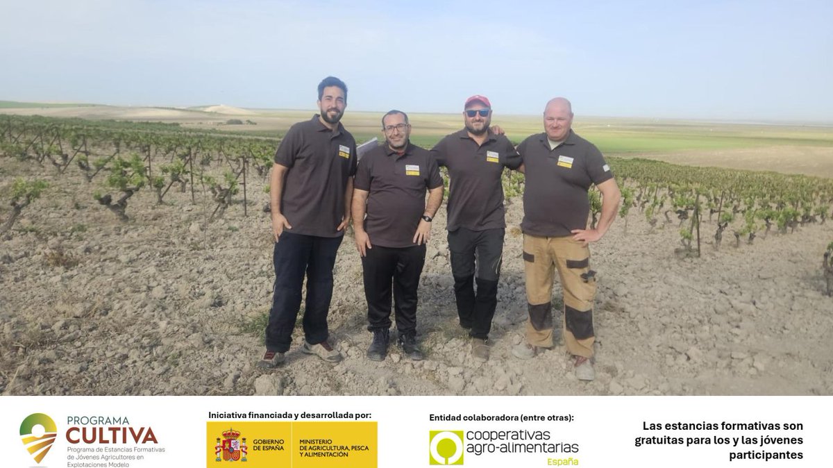 Cooperativas Agro-alimentarias de Andalucía tweet media