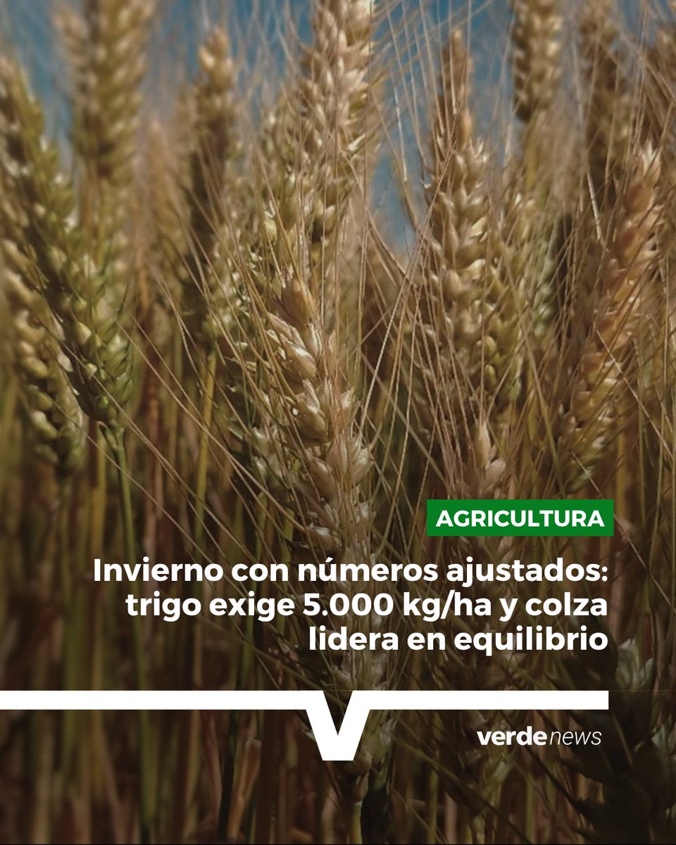 verdemedia tweet media