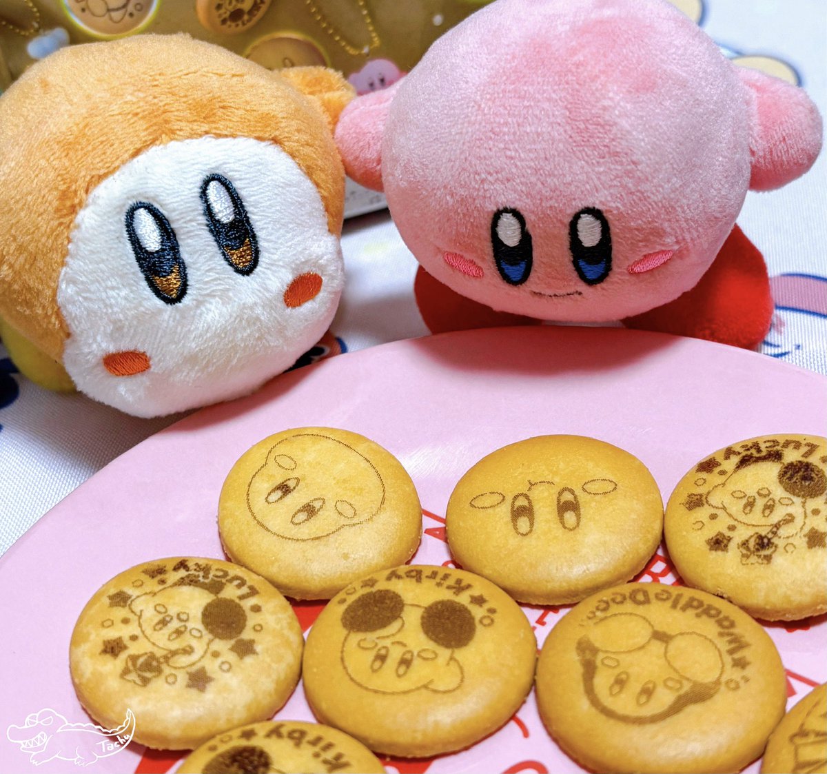 たちゅ🐊 tweet media