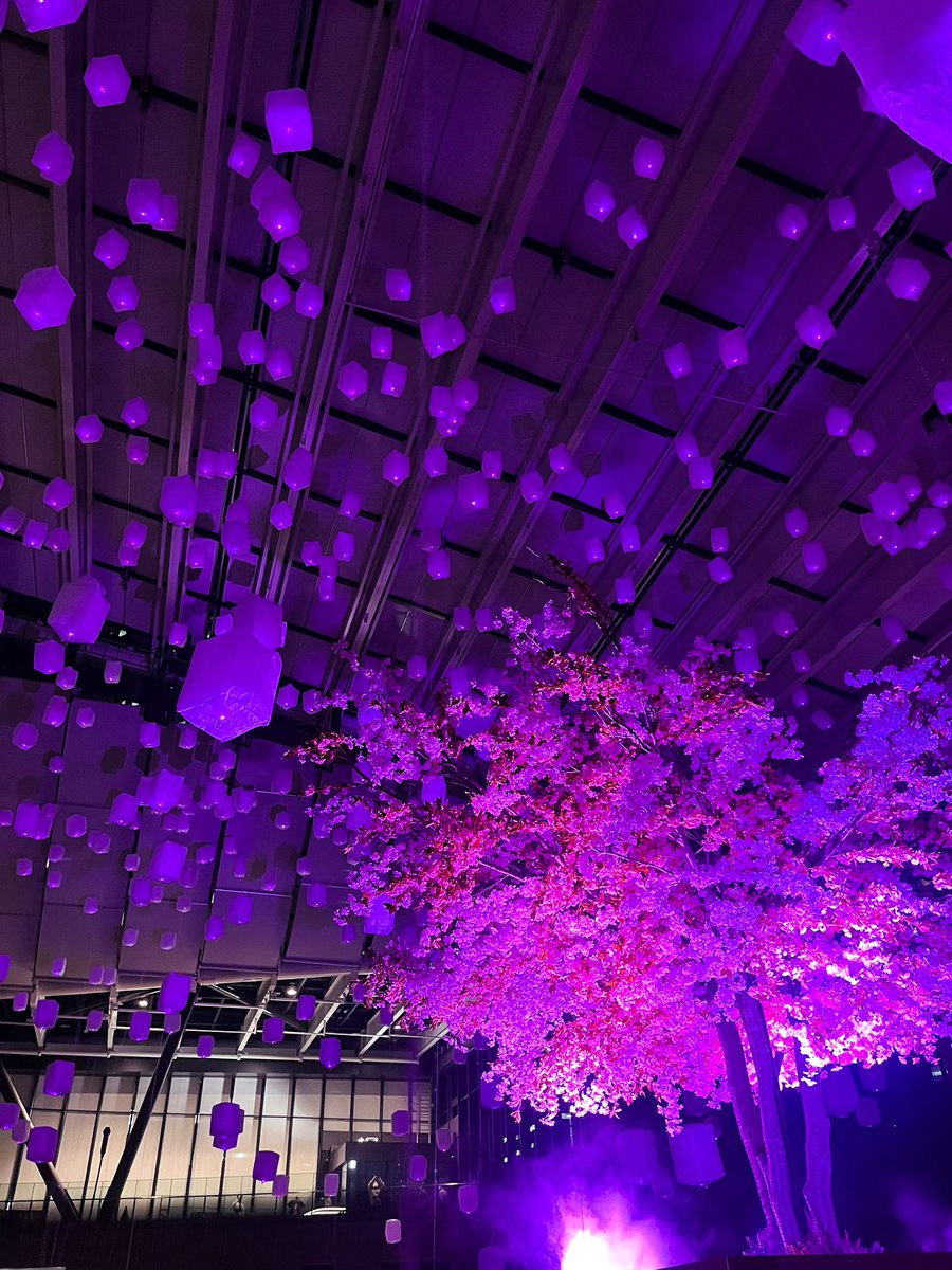 ところがどっこい🍰🍮🍩🍹🍪🍘🍦🍫 tweet media