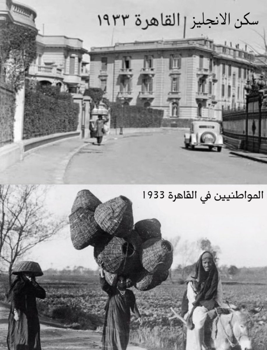 MAJED | Researcher |🐪📖 tweet media