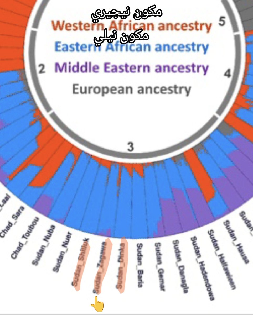 moshatshit tweet media