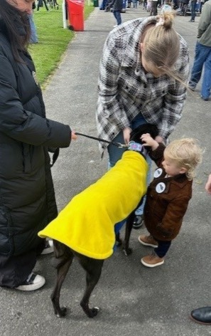 Nottingham Dogs tweet media