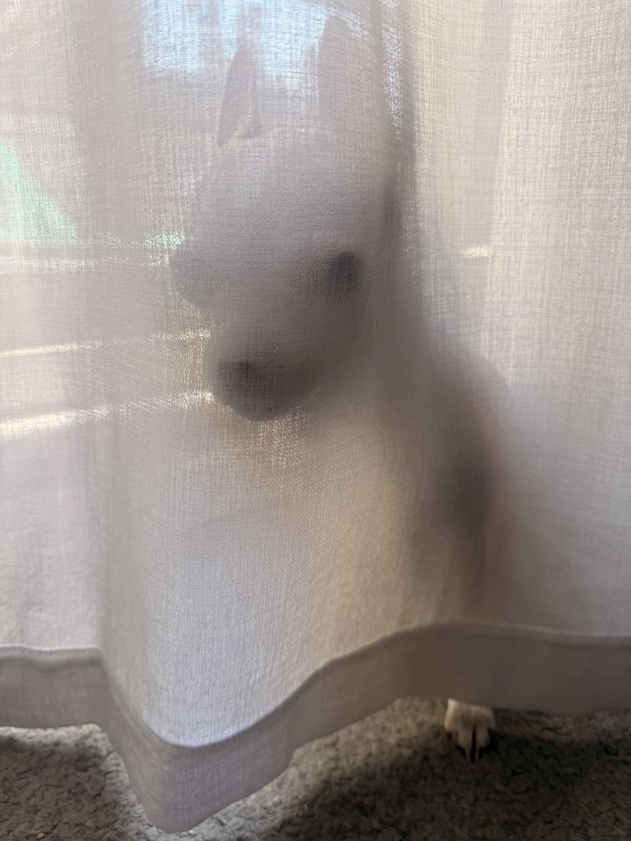 telly of bunkertwt☢️ tweet media