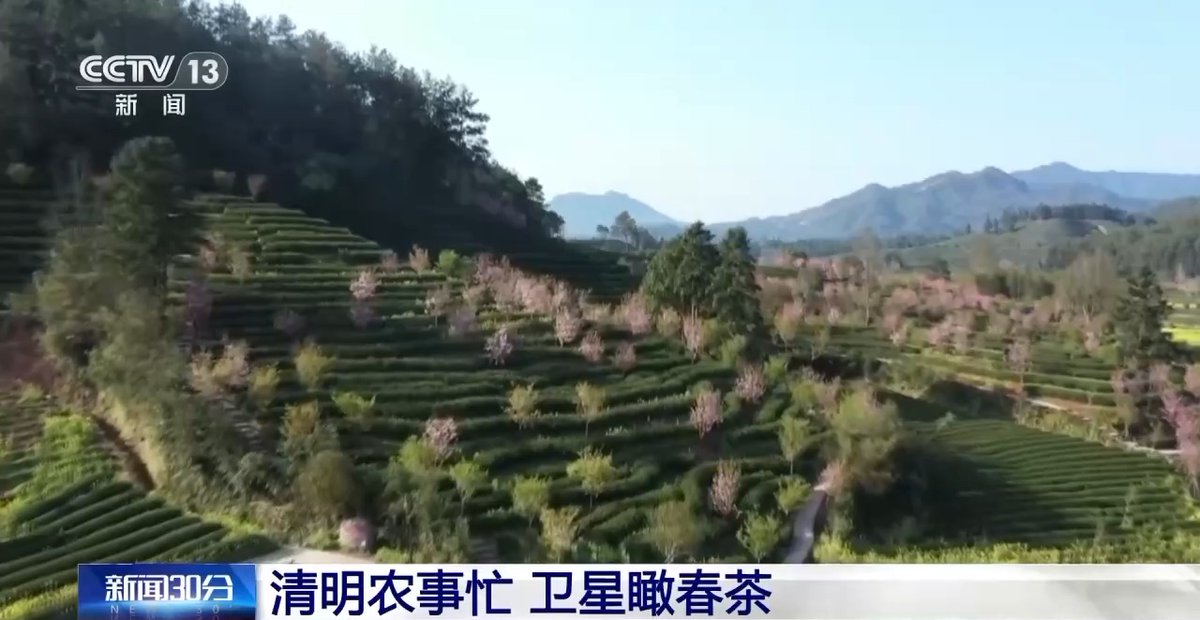 Beijing Daily tweet media