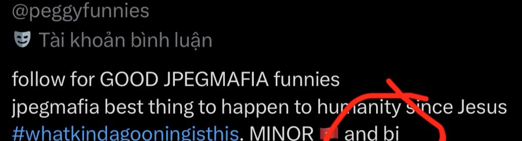 Toepegmafia🤮 tweet media