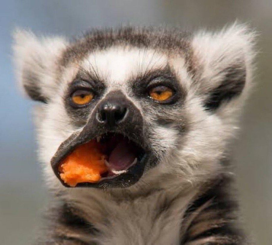 BIG4TEEN 🙂 🇷🇺 tweet media