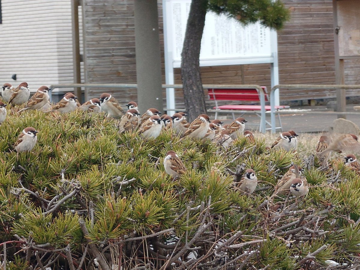 やもっちゃん tweet media