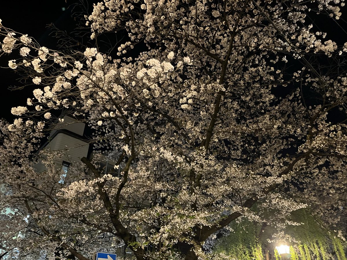 ひもの [・へ・] tweet media