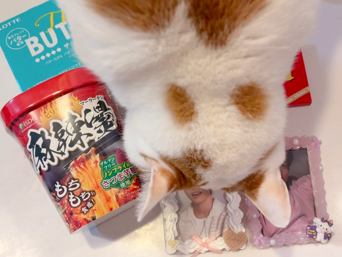 ゆいさく tweet media