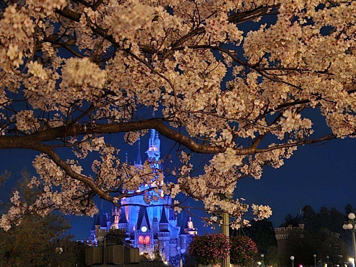 Cath ケス 캐스 tweet media