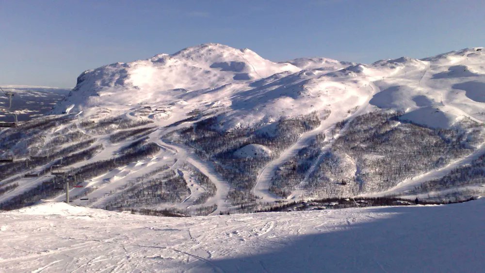 NOS Mirror tweet media