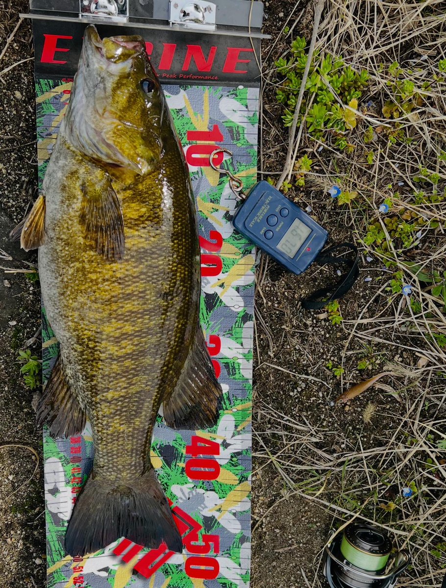 リョウ@R.sato tweet media