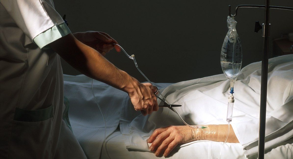 Live Action News tweet media