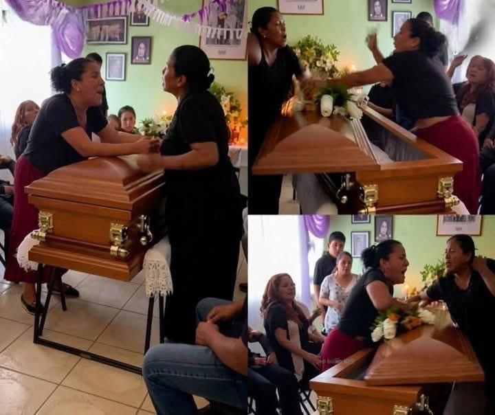 Prófugos del Ácido Fólico tweet media