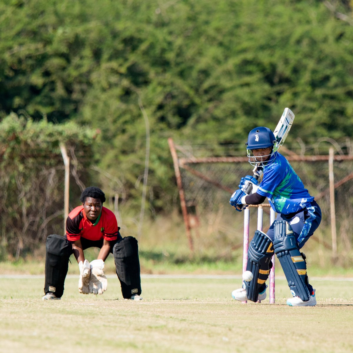 cricketmalawi's tweet image. 🇲🇼📸 MATCH DAY MOMENTS MALAWI vs LESOTHO

From the first ball to the final celebration, a performance full of energy, discipline, and teamwork 💪🔥
Clinical bowling ✔️
Confident batting ✔️
Unmatched team spirit ✔️

These are the moments that defined a dominant win for Malawi