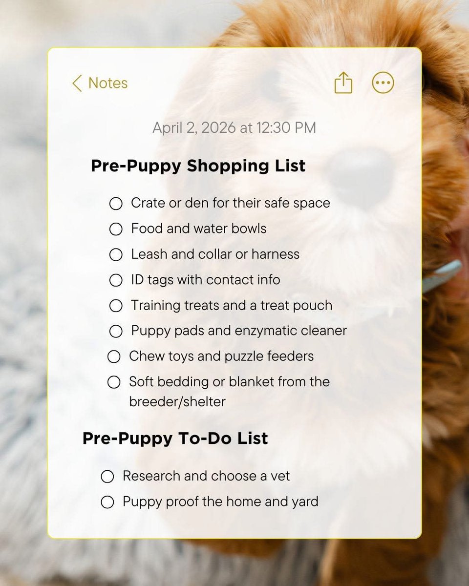 dogtrainerscot's tweet photo. So you're about to bring home a new puppy, huh? These are the things you need to get and do before they make their stop at their new forever home ✍️ 🥰 https://t.co/ETQuQaocUO