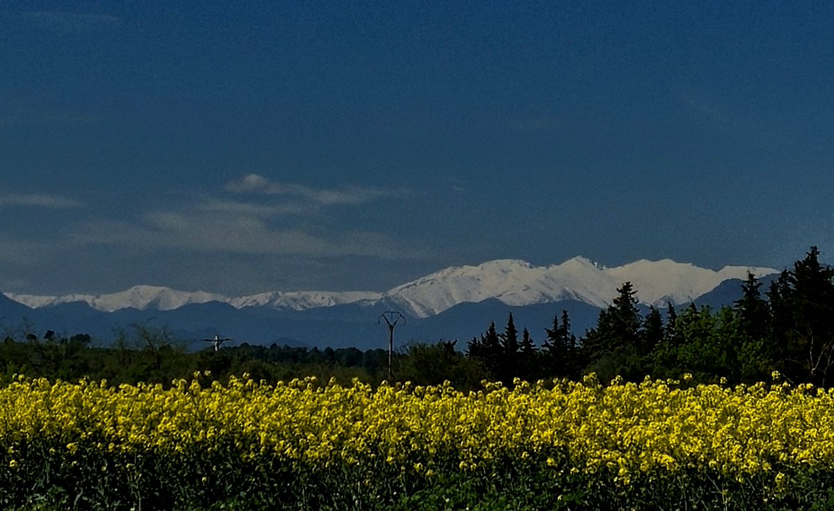 Ximplet!! tweet media