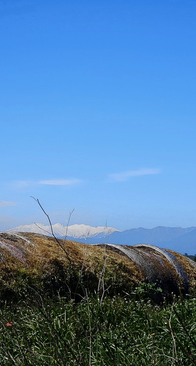 Ximplet!! tweet media