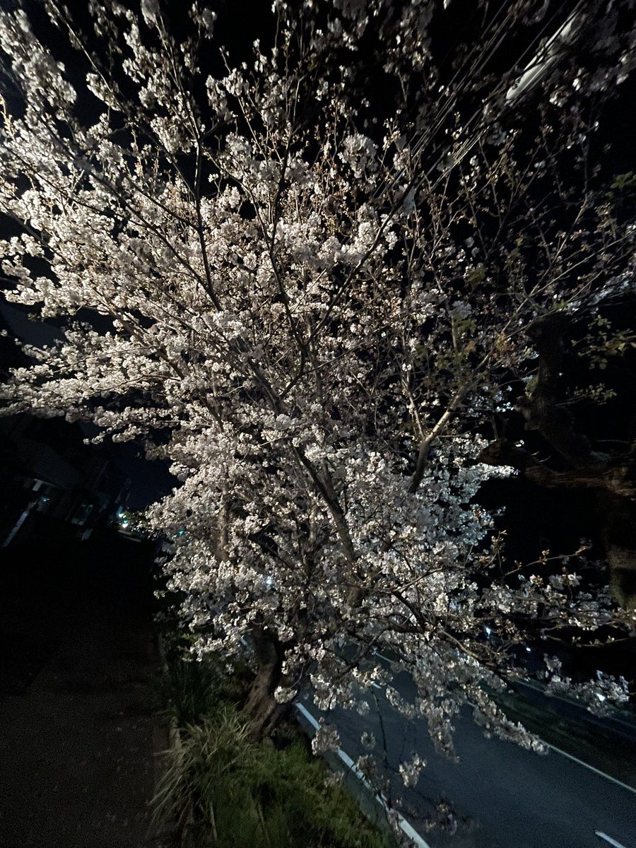 Ray👾‎⚡️@いりぃず tweet media