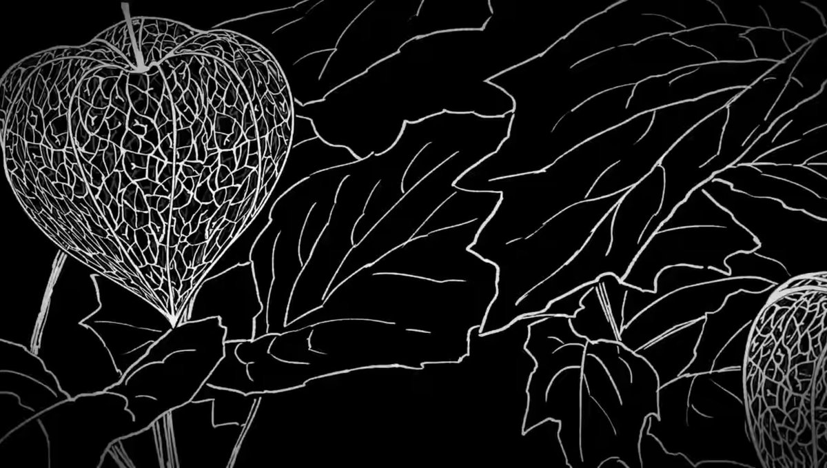 雨溺／あめき tweet media