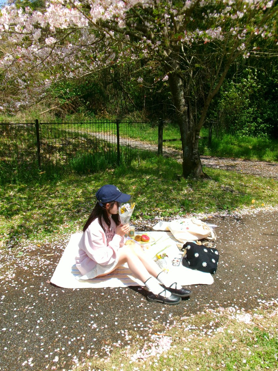 ちゃ。 tweet media