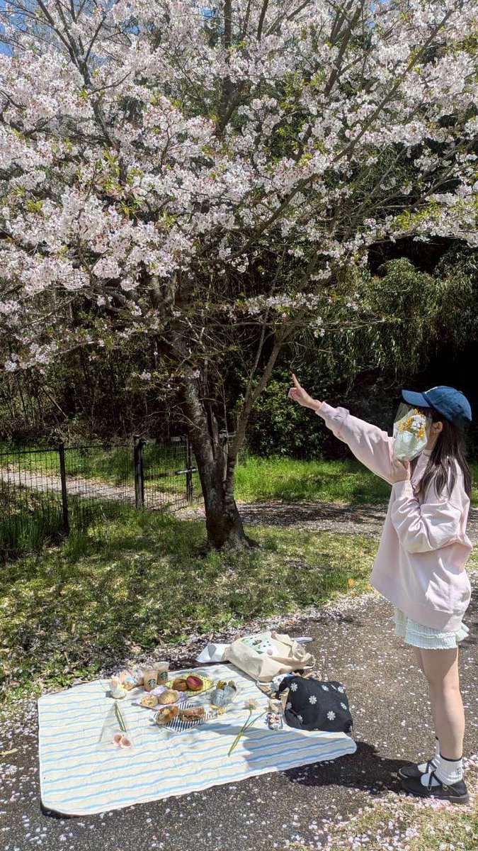 ちゃ。 tweet media