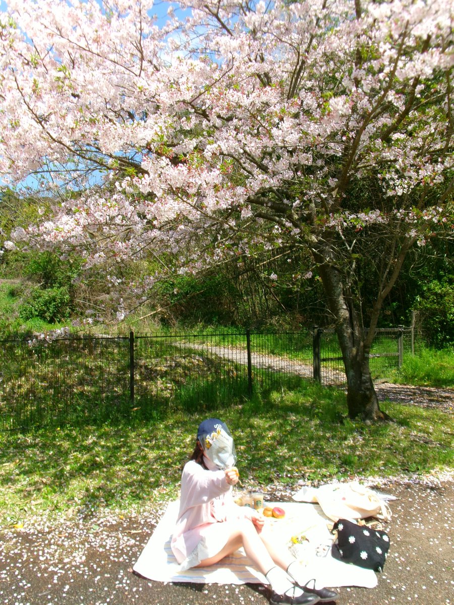 ちゃ。 tweet media