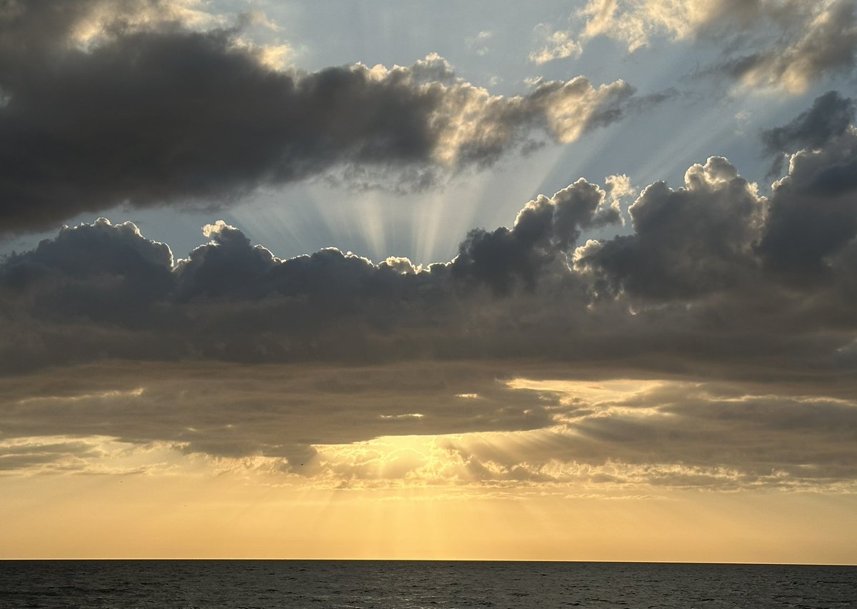 Mandy 🌹 tweet media