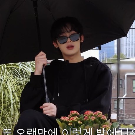 떤쫀쿠 🧆 tweet media