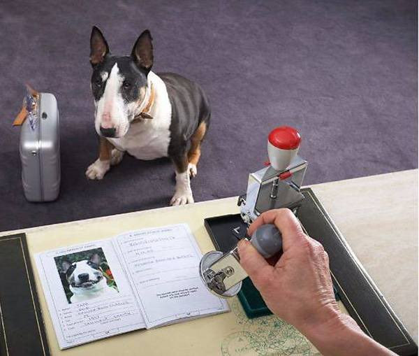 @MuteBlue tweet media