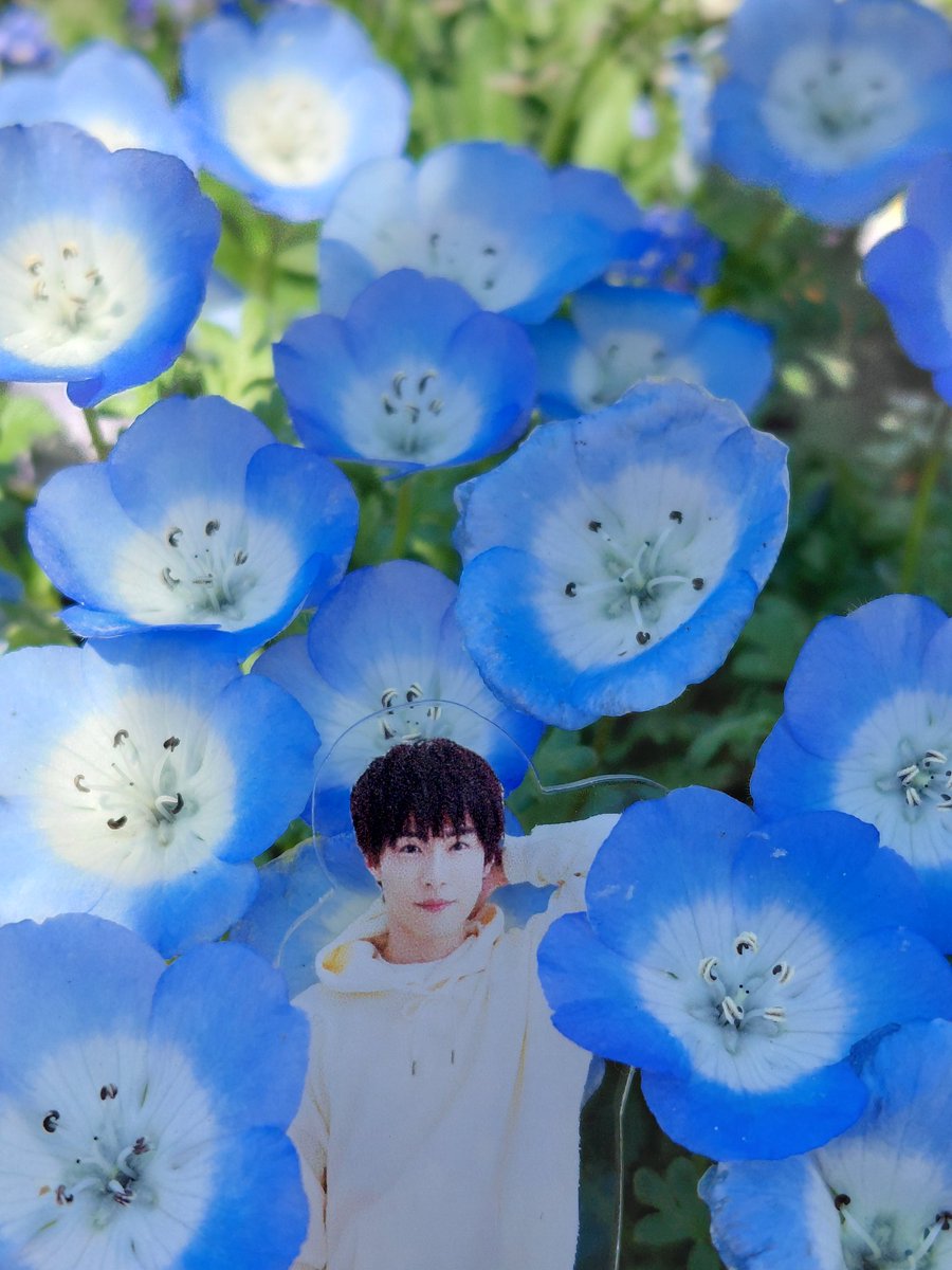 vxoxapplexoxv's tweet photo. 横浜赤レンガ倉庫💐FLOWER GARDEN💐
お天気に恵まれて青い空とレンガとお花がとっても綺麗💙🧱💐
今年も色んな工夫が楽しいです🎶
#撮り徹
@toritetsu_1102 https://t.co/0psvFhIebO