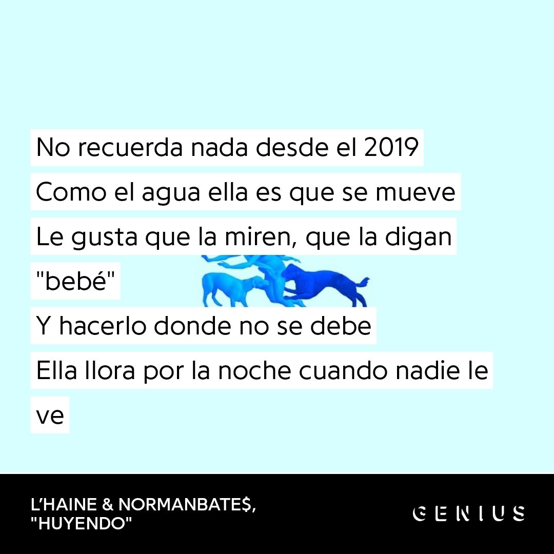 carola tweet media