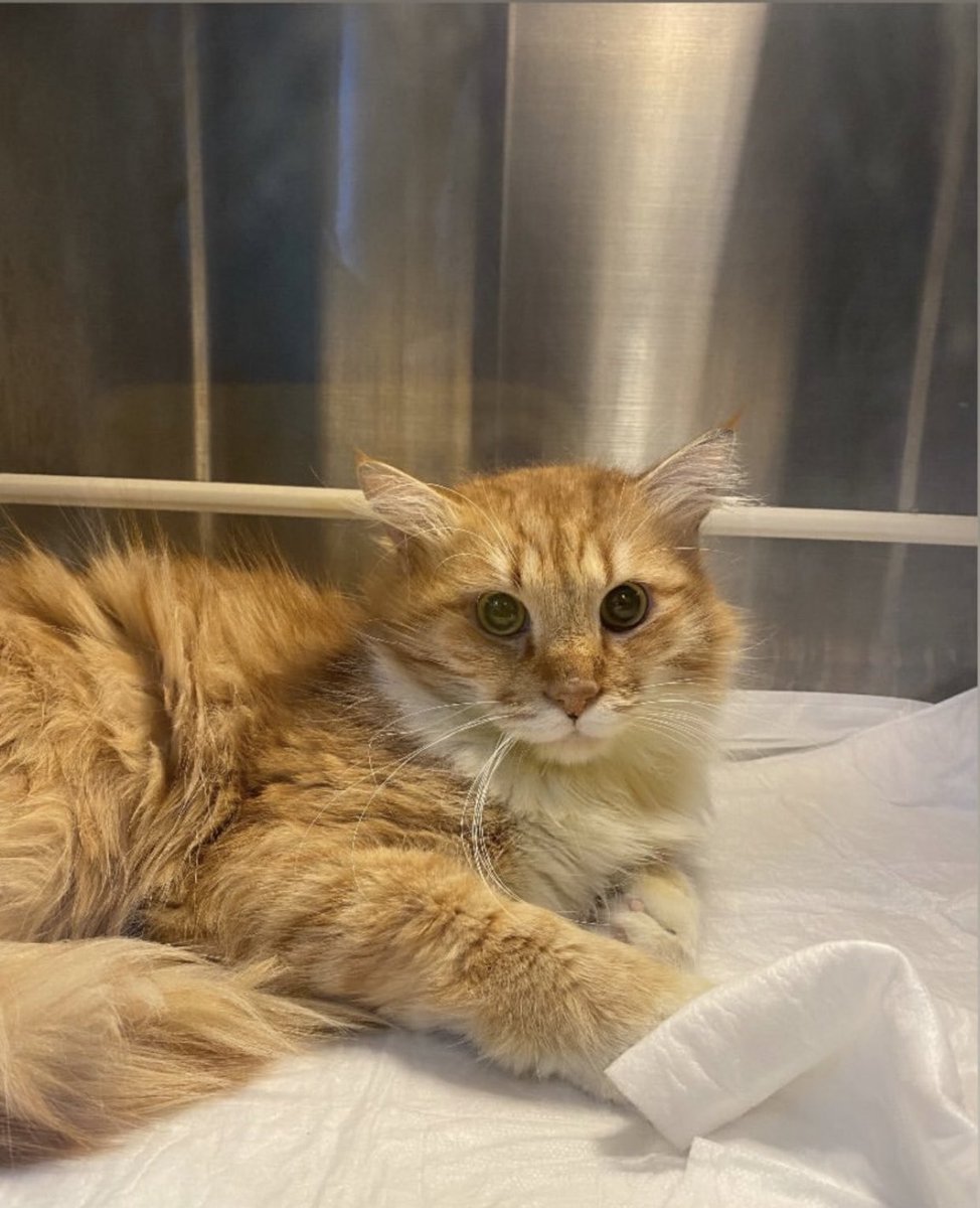 zamanla alışıp sevgi dolu bi portakal olacak denizlii yuvaaa