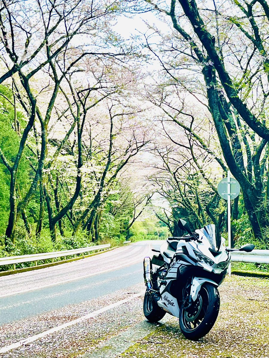 はすきー@海と空と富士山と tweet media