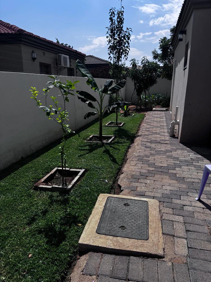 Mr Rre Showa tweet media