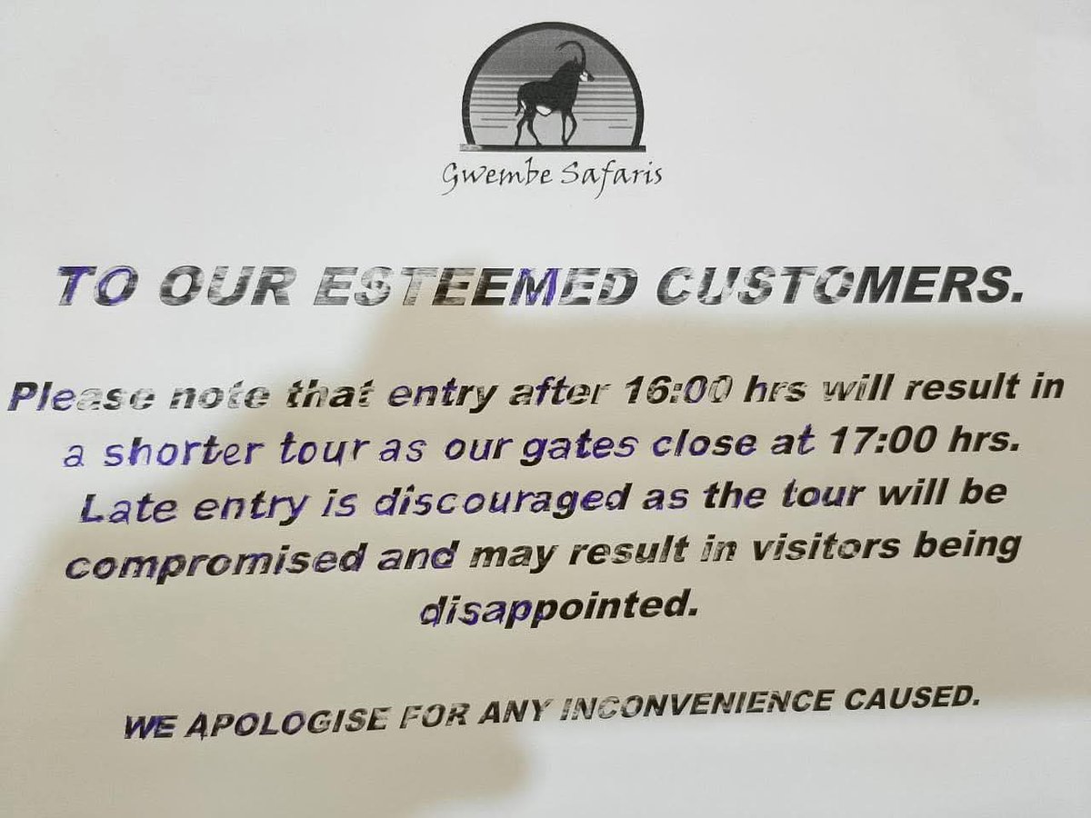 Bintou 💜 tweet media