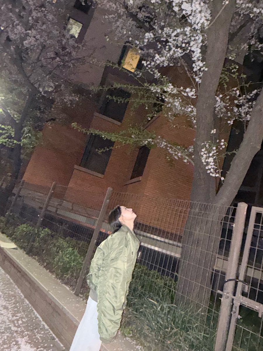 sheon gallery tweet media