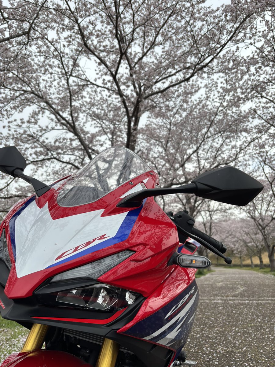 mobby_mc51's tweet photo. 暖かくなって気持ちいいですね！

#cbr250rr https://t.co/pAAT9N3jzS