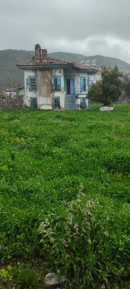 adamdriver tweet media