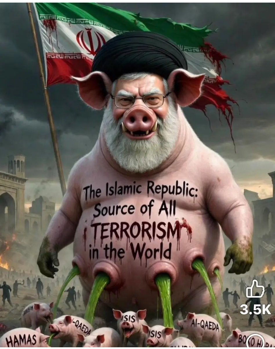 Robab Fridzadeh tweet media