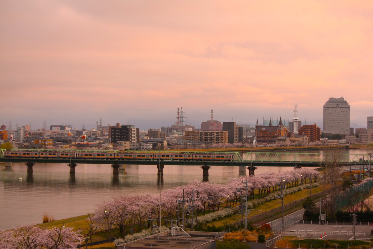 やまびこ tweet media