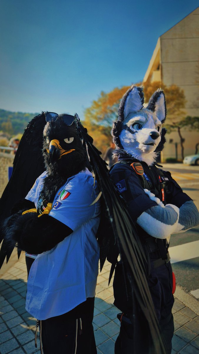 마타도르🔜FURSTCLASS tweet media